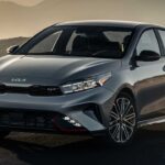 cerato 2024